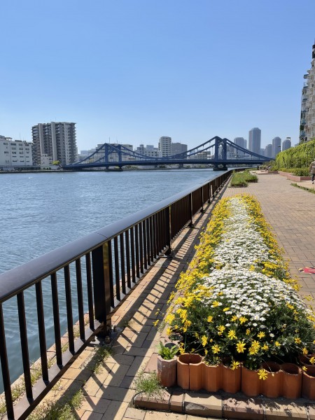 就労移行支援事業所ティオのブログ記事の画像