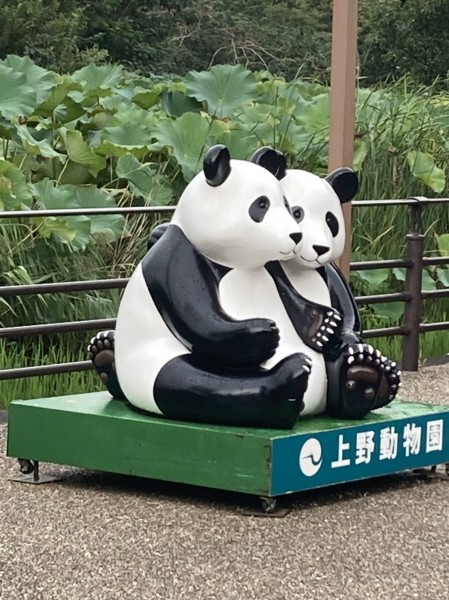 就労移行支援事業所ティオのブログ記事の画像