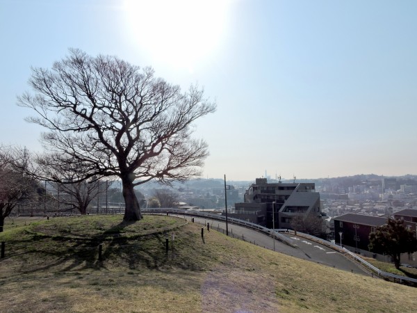 就労移行支援事業所ティオのブログ記事の画像