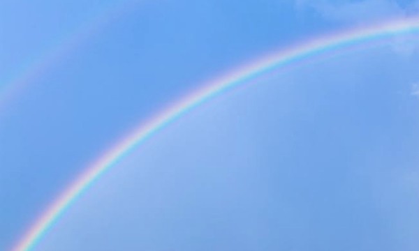 就労移行支援事業所ティオのブログ記事の画像