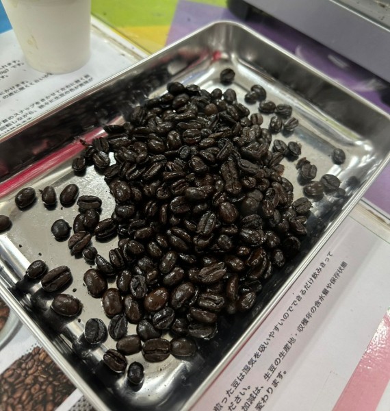 就労移行支援事業所ティオのブログ記事の画像