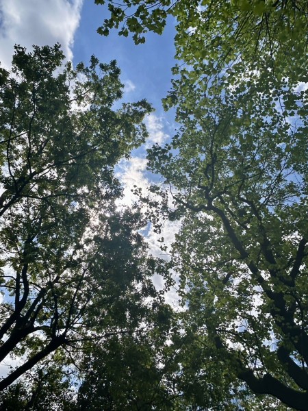 就労移行支援事業所ティオのブログ記事の画像