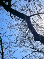 就労移行支援事業所ティオBLOGのサムネイル