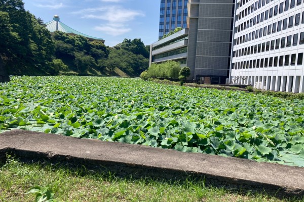 就労移行支援事業所ティオのブログ記事の画像