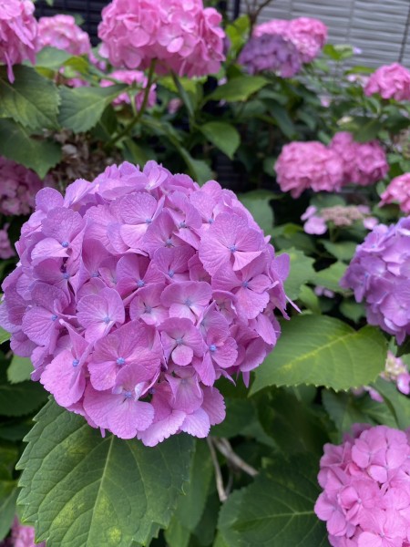 就労移行支援事業所ティオのブログ記事の画像