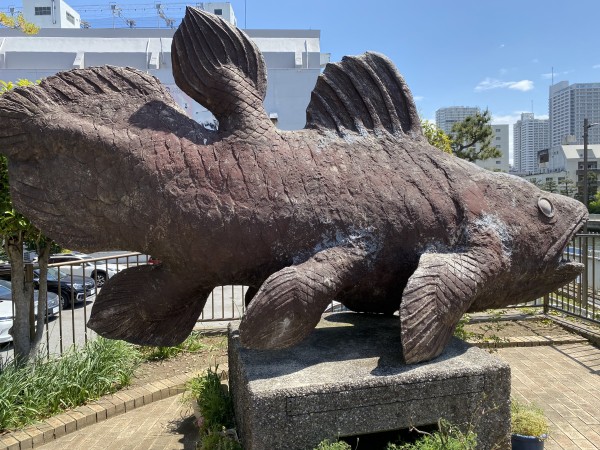 東京、千葉から通いやすい!就職を江戸川区西葛西、江戸川区船堀、千代田区神保町、江東区森下で一人ひとりの希望を叶える支援をしています。発達障害や学習障害、うつ病「障害者手帳」「自立支援医療」等、就職活動の心配も随時ご相談を受け付けています。 就労移行支援事業所ティオのブログ記事の画像