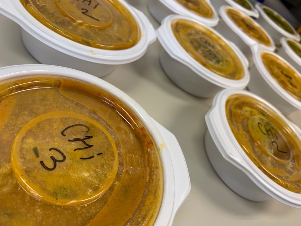 就労移行支援事業所ティオのブログ記事の画像