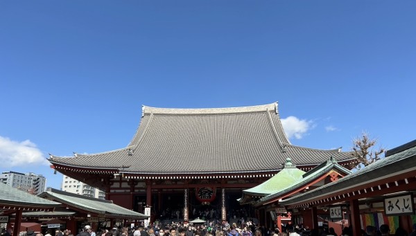 就労移行支援事業所ティオのブログ記事の画像