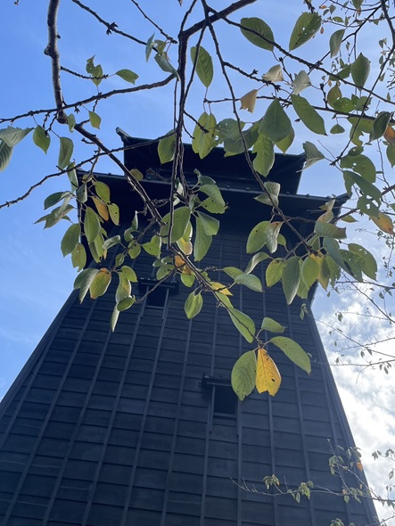 東京、千葉から通いやすい!就職を江戸川区西葛西、江戸川区船堀、千代田区神保町、江東区森下で一人ひとりの希望を叶える支援をしています。発達障害や学習障害、うつ病「障害者手帳」「自立支援医療」等、就職活動の心配も随時ご相談を受け付けています。 就労移行支援事業所ティオのブログ記事の画像