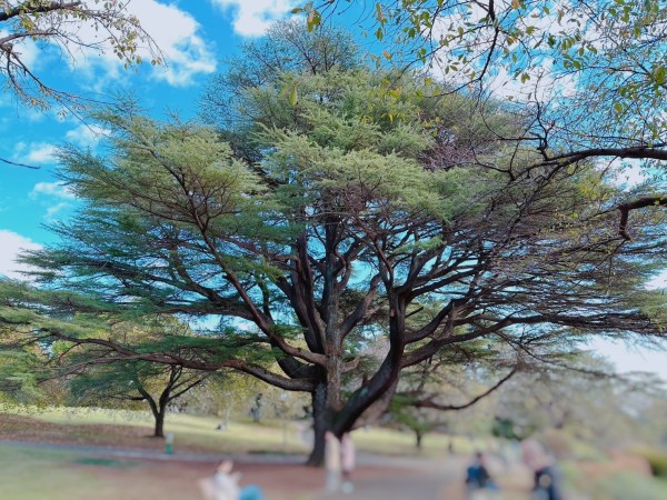 就労移行支援事業所ティオのブログ記事の画像