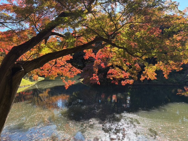 就労移行支援事業所ティオのブログ記事の画像
