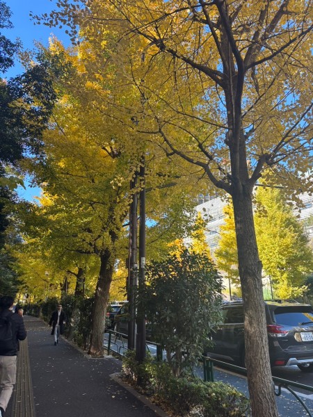 就労移行支援事業所ティオのブログ記事の画像