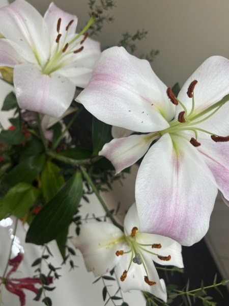 東京、千葉から通いやすい!就職を江戸川区西葛西、江戸川区船堀、千代田区神保町、江東区森下で一人ひとりの希望を叶える支援をしています。発達障害や学習障害、うつ病「障害者手帳」「自立支援医療」等、就職活動の心配も随時ご相談を受け付けています。 就労移行支援事業所ティオのブログ記事の画像