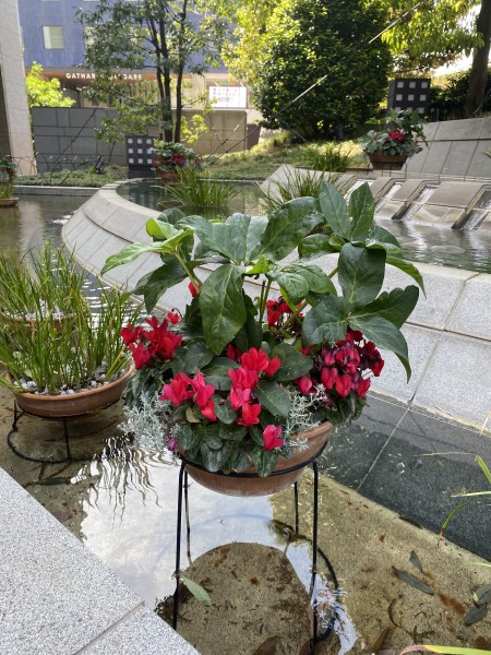 東京、千葉から通いやすい!就職を江戸川区西葛西、江戸川区船堀、千代田区神保町、江東区森下で一人ひとりの希望を叶える支援をしています。発達障害や学習障害、うつ病「障害者手帳」「自立支援医療」等、就職活動の心配も随時ご相談を受け付けています。 就労移行支援事業所ティオのブログ記事の画像