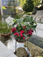 就労移行支援事業所ティオBLOGのサムネイル