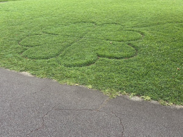 就労移行支援事業所ティオのブログ記事の画像