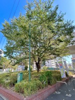 就労移行支援事業所ティオBLOGのサムネイル