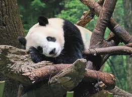 東京、千葉から通いやすい!就職を江戸川区西葛西、江戸川区船堀、千代田区神保町、江東区森下で一人ひとりの希望を叶える支援をしています。発達障害や学習障害、うつ病「障害者手帳」「自立支援医療」等、就職活動の心配も随時ご相談を受け付けています。 就労移行支援事業所ティオのブログ記事の画像