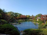 就労移行支援事業所ティオBLOGのサムネイル