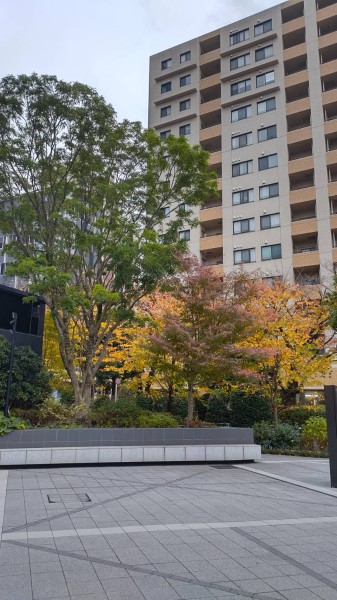 就労移行支援事業所ティオのブログ記事の画像