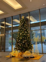 就労移行支援事業所ティオBLOGのサムネイル