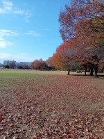 就労移行支援事業所ティオBLOGのサムネイル