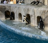 就労移行支援事業所ティオBLOGのサムネイル