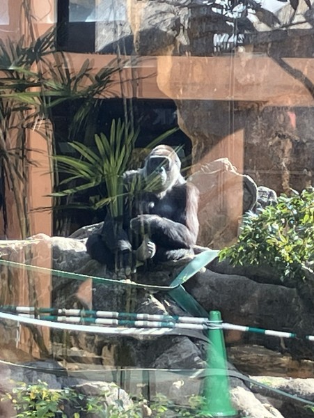 就労移行支援事業所ティオのブログ記事の画像