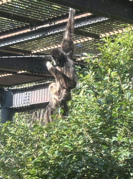 就労移行支援事業所ティオのブログ記事の画像