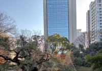 就労移行支援事業所ティオBLOGのサムネイル