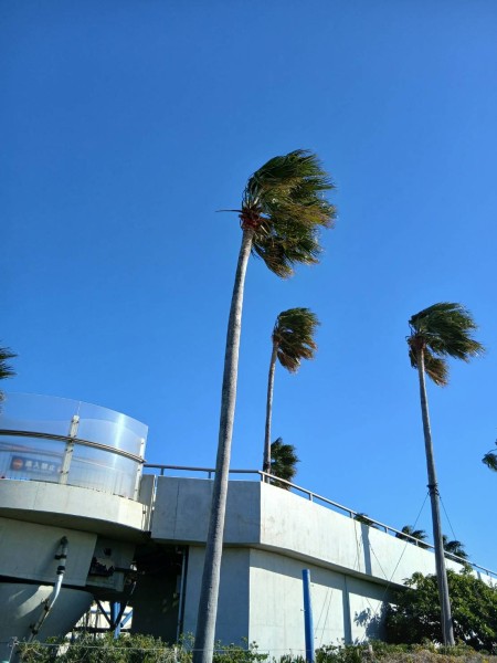 就労移行支援事業所ティオのブログ記事の画像