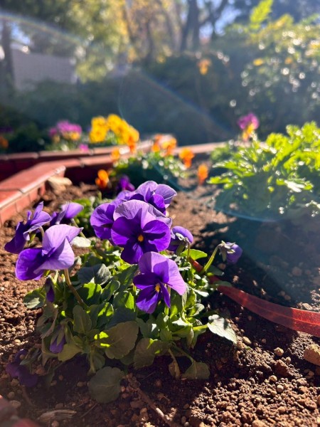 就労移行支援事業所ティオのブログ記事の画像