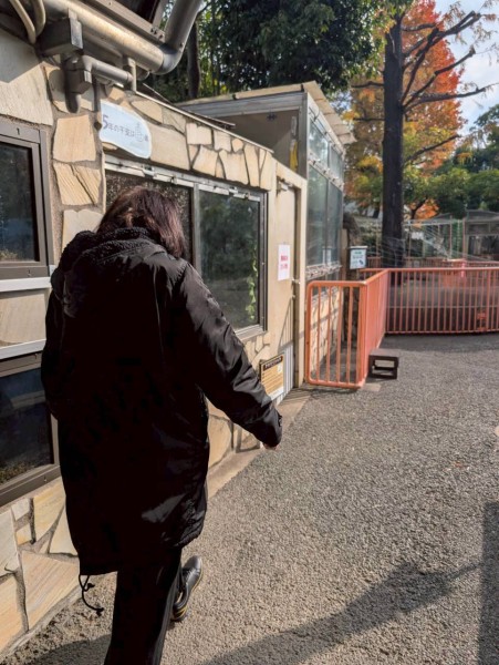 就労移行支援事業所ティオのブログ記事の画像