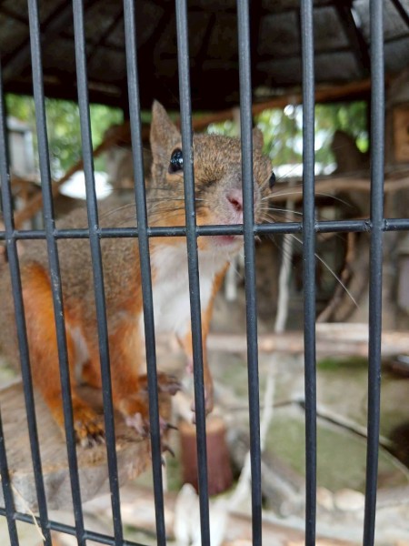 就労移行支援事業所ティオのブログ記事の画像