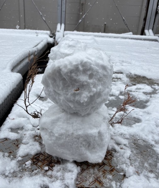 就労移行支援事業所ティオのブログ記事の画像