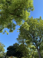 就労移行支援事業所ティオBLOGのサムネイル