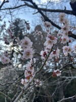 就労移行支援事業所ティオBLOGのサムネイル