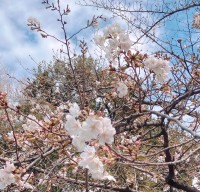 就労移行支援事業所ティオBLOGのサムネイル