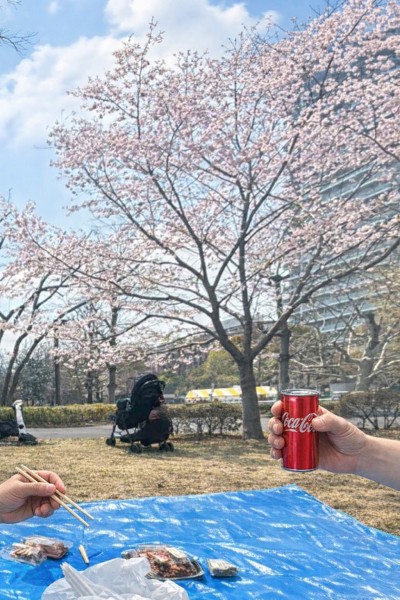 東京、千葉から通いやすい!就職を江戸川区西葛西、江戸川区船堀、千代田区神保町、江東区森下で一人ひとりの希望を叶える支援をしています。発達障害や学習障害、うつ病「障害者手帳」「自立支援医療」等、就職活動の心配も随時ご相談を受け付けています。 就労移行支援事業所ティオのブログ記事の画像