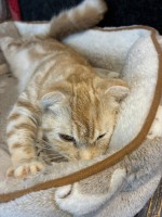 就労移行支援事業所ティオBLOGのサムネイル